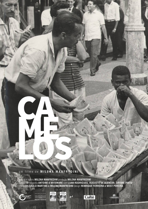 Camelôs poster