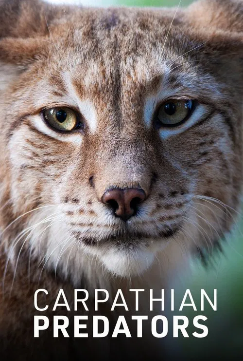 Carpathian Predators poster