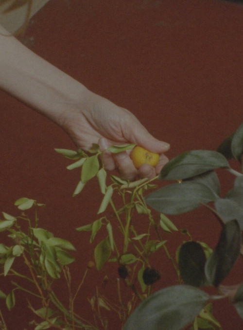 Barefoot Birthdays on Unbreakable Glass poster