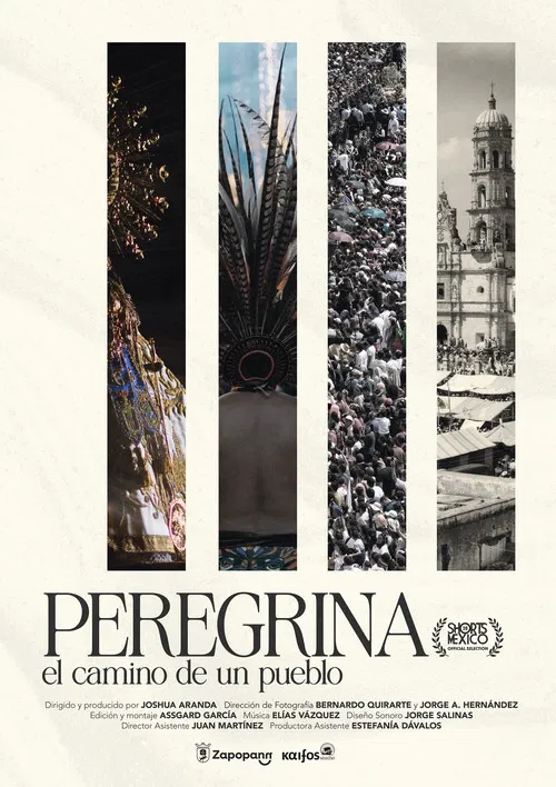 Pilgrim A people's journey poster