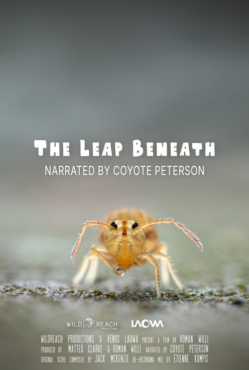 The Leap Beneath poster