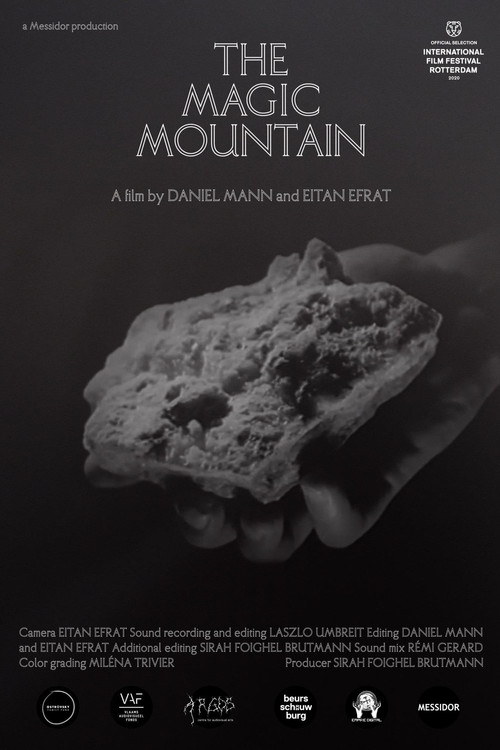 The Magic Mountain poster