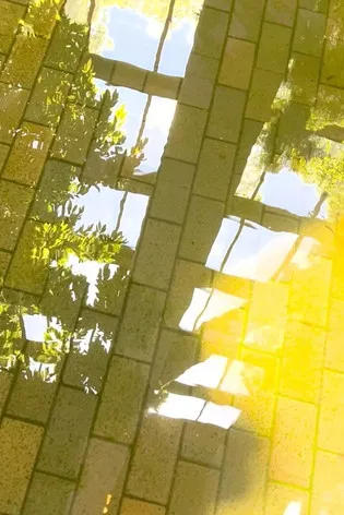 Sunset Seduction poster