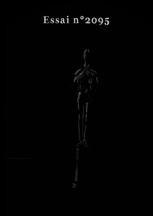 Essai 2095 poster