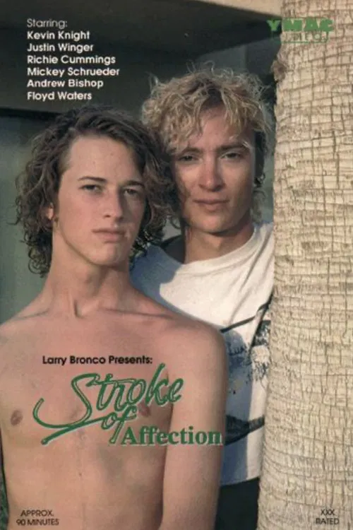 Stroke of Affection poster