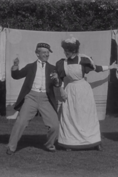 Hanging Out the Clothes poster