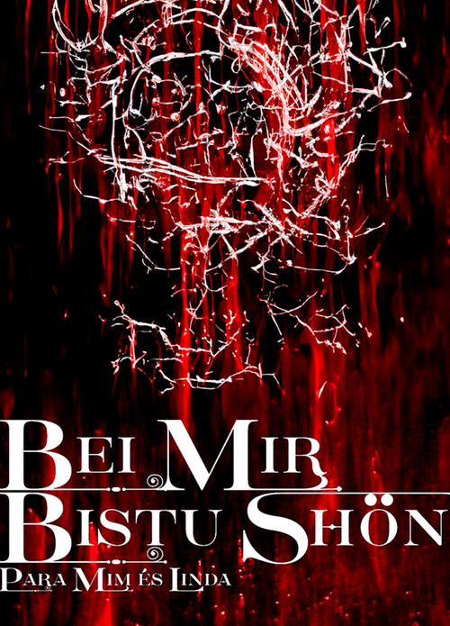 BEI MIR BISTU SHON: PARA MIM ES LINDA poster