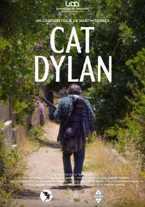 Cat Dylan poster