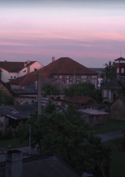 Peafowls Flew Away and Took My Thoughts With Them poster
