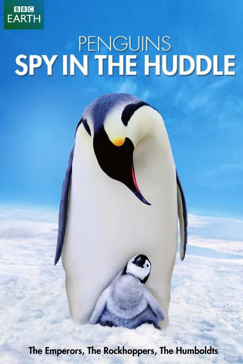 Penguins: Spy in the Huddle poster