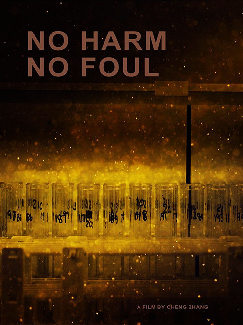 No Harm No Foul poster