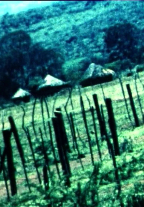 Hommage an Ludwig van Beethoven poster