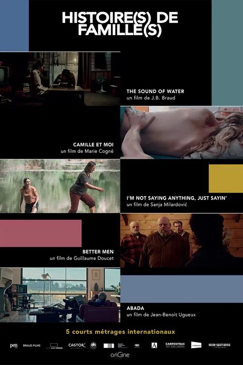 Histoire(s) de Famille(s) poster