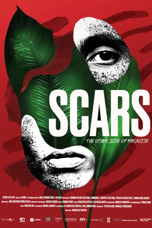 Scars poster