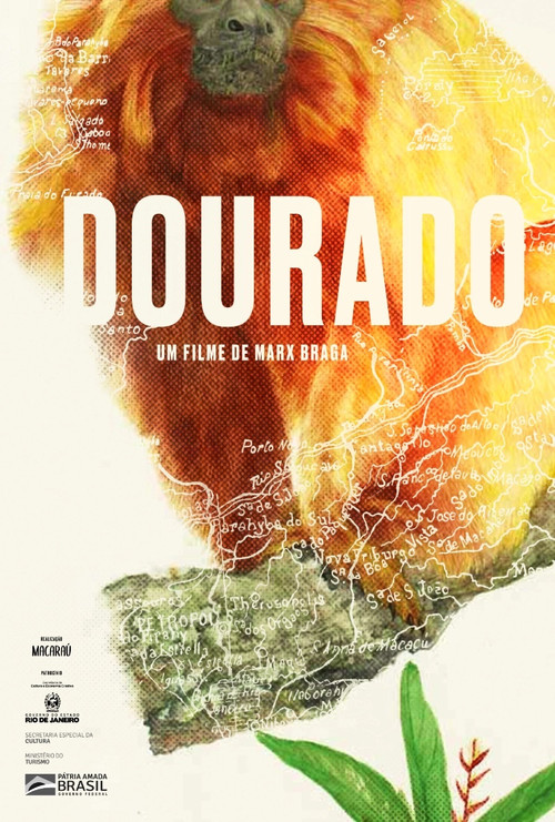 Dourado poster