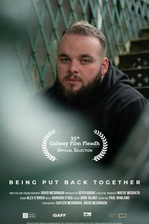 Being Put Back Together poster