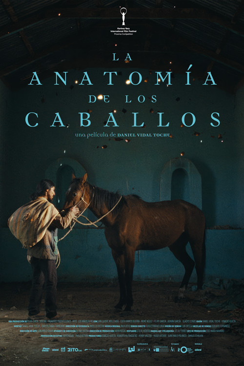 The Anatomy of the Horses poster