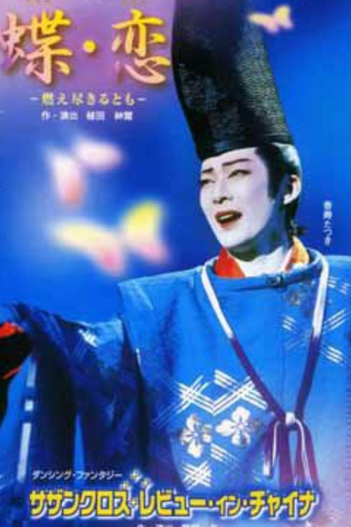 Butterfly Lovers / Southern Cross Revue in China poster