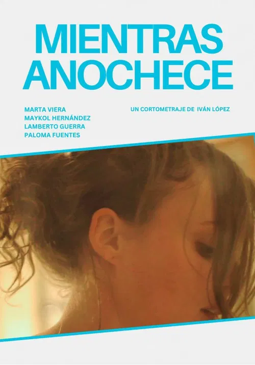 While The Night Falls poster