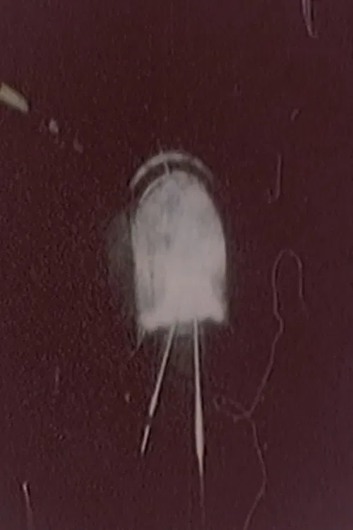 Hibaku Ningen X poster