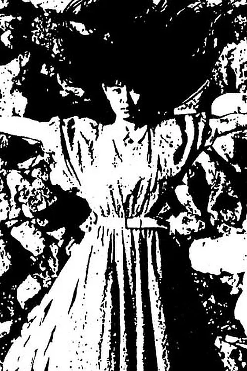 Haruko's Adventure poster