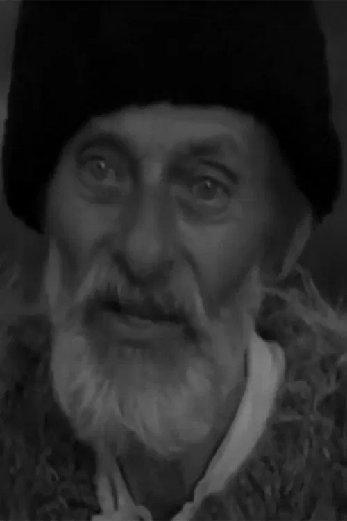 Nicolae Veniaș profile