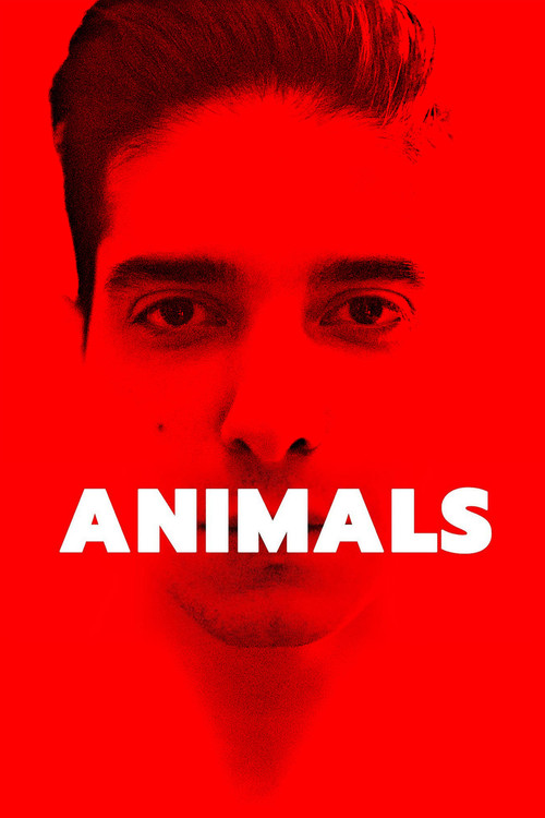Animals poster