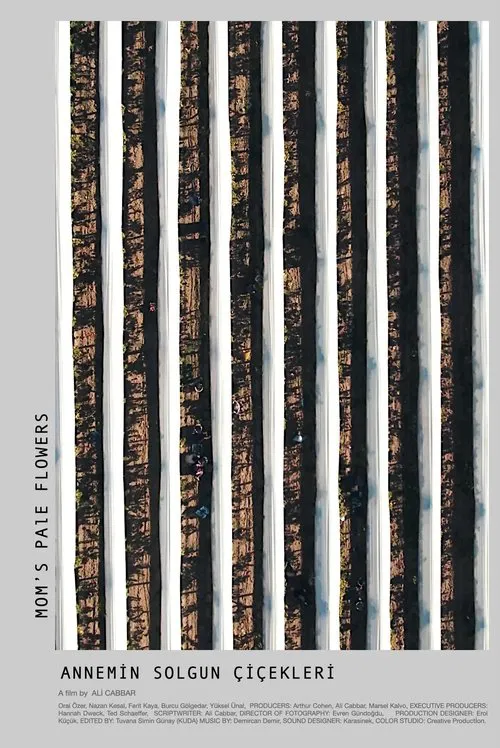 Mom's Pale Flowers poster