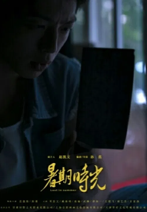 Lost in Summer poster