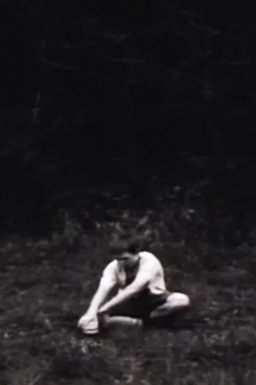 Miles Above, Years Apart poster