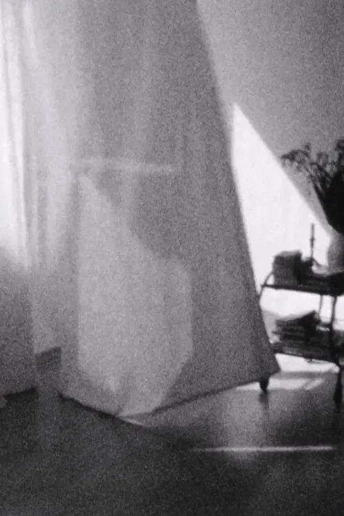 Weiße Vorhänge poster