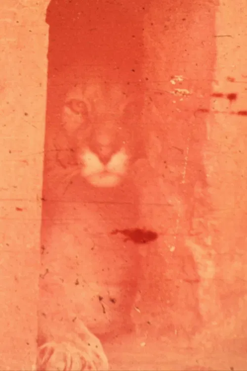 La noble ultimación de la bestia poster