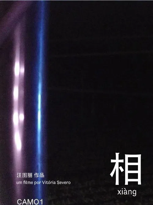 相 xiàng poster