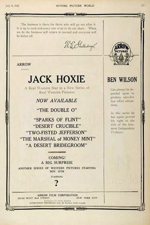 The Marshal of Moneymint poster