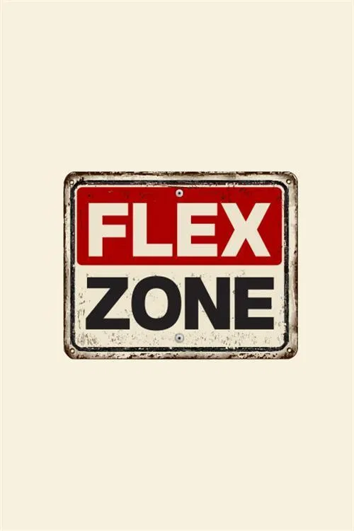 FLEX ZONE poster