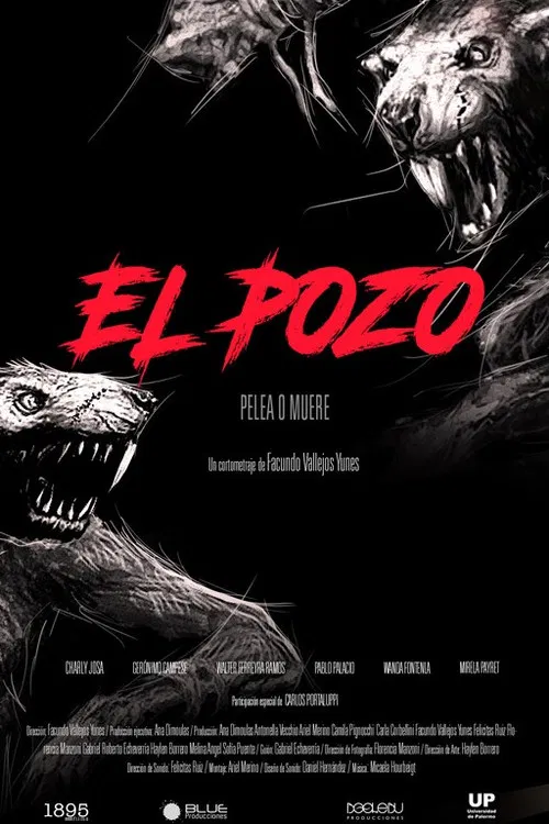 El pozo poster