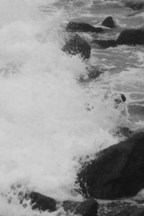 Greg Louganis / Minamoto no Shigeyuki poster