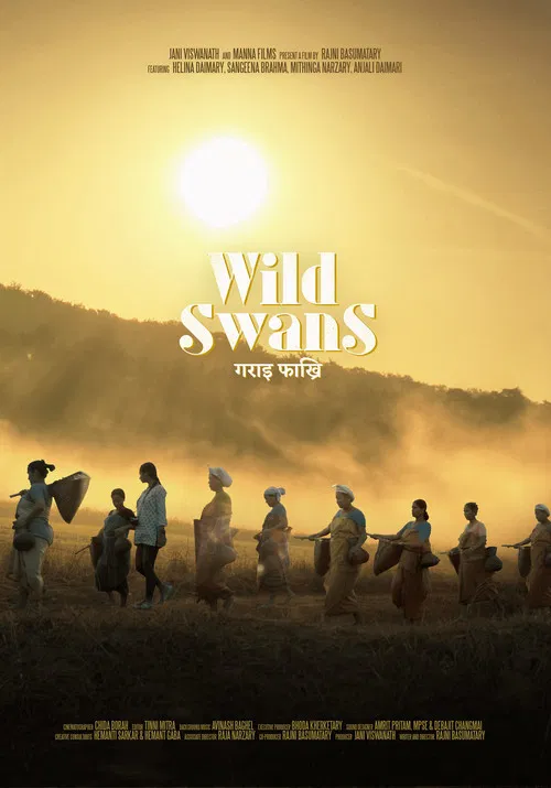 Wild Swans poster