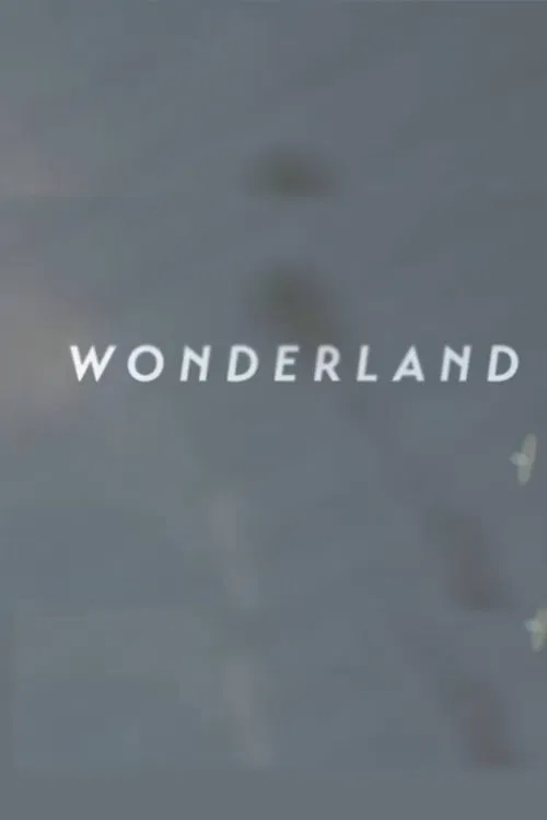 Wonderland | A Short Form Doc on Creative Commerce poster