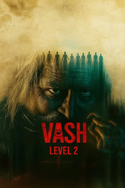 Vash Level 2 poster