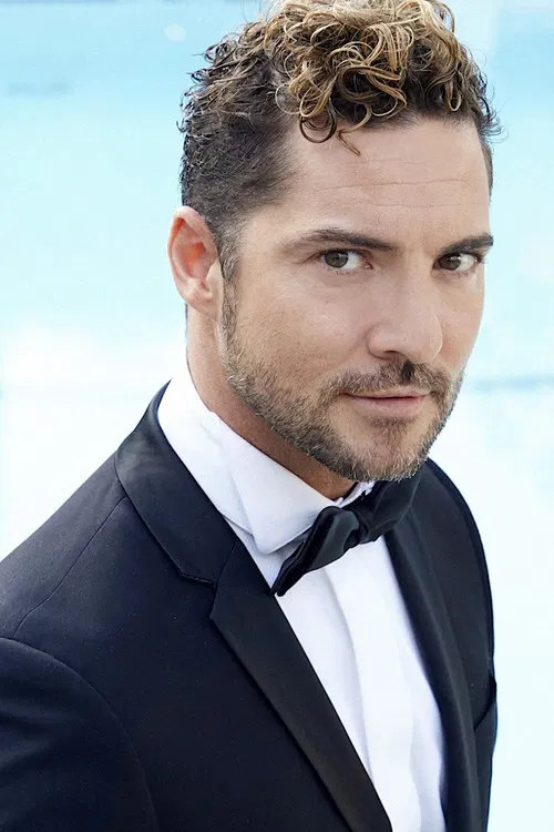David Bisbal profile