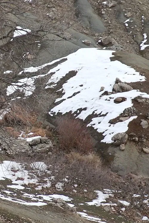 Who is Afraid of Ideology? Part 1 poster