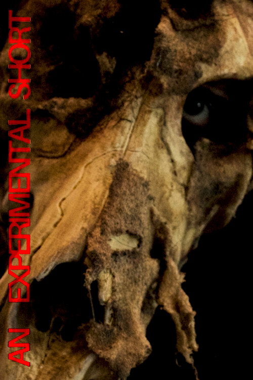 Painting of a Dog poster