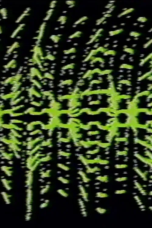 Modulated Horizontal Lines poster