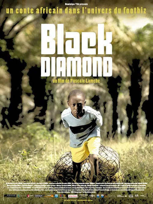 Black Diamond poster
