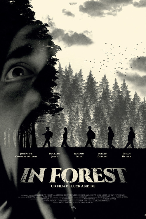 In Forest poster