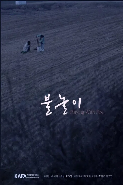 Playing with Fire poster