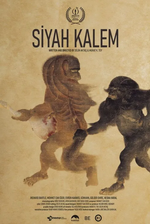 Siyah Kalem poster