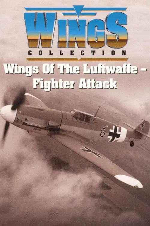 Wings of the Luftwaffe poster
