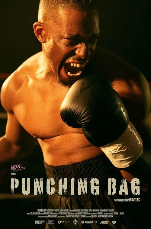 Punching Bag poster